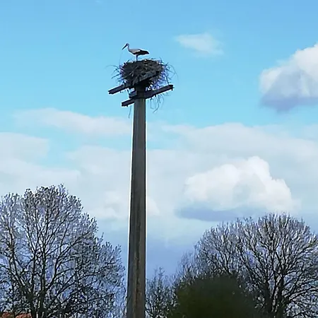 Holiday home De Charme Entre Nantes Et Cote De Jade - Jardin Prive, Equipement Bebe, Wifi, Animaux Acceptes - Fr-1-306-852 Vue