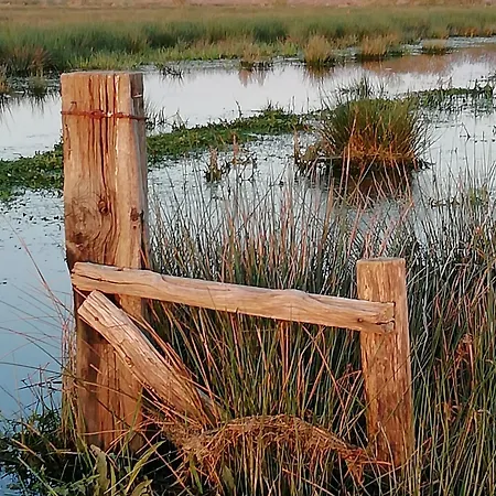 Holiday home De Charme Entre Nantes Et Cote De Jade - Jardin Prive, Equipement Bebe, Wifi, Animaux Acceptes - Fr-1-306-852 *