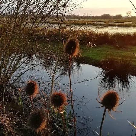 Holiday home De Charme Entre Nantes Et Cote De Jade - Jardin Prive, Equipement Bebe, Wifi, Animaux Acceptes - Fr-1-306-852