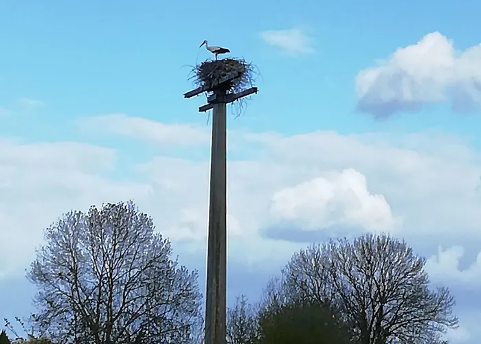 Ferienhaus De Charme Entre Nantes Et Cote De Jade - Jardin Prive, Equipement Bebe, Wifi, Animaux Acceptes - Fr-1-306-852 Vue